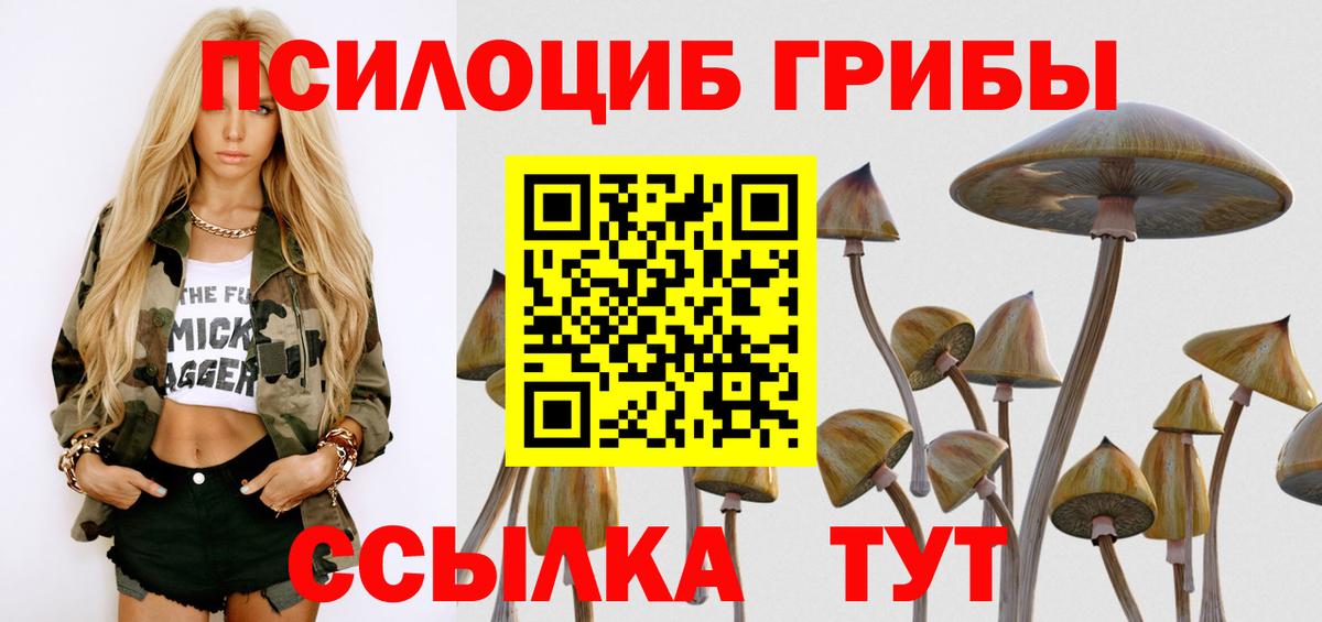 Псилоцибиновые грибы ЛСД  Вход с VPN  Кимовск  Псилоцибиновые грибы Magic Shrooms 